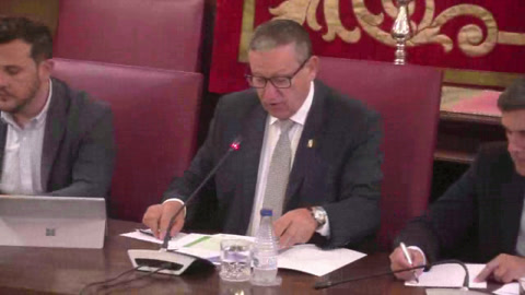 Pleno ordinario 